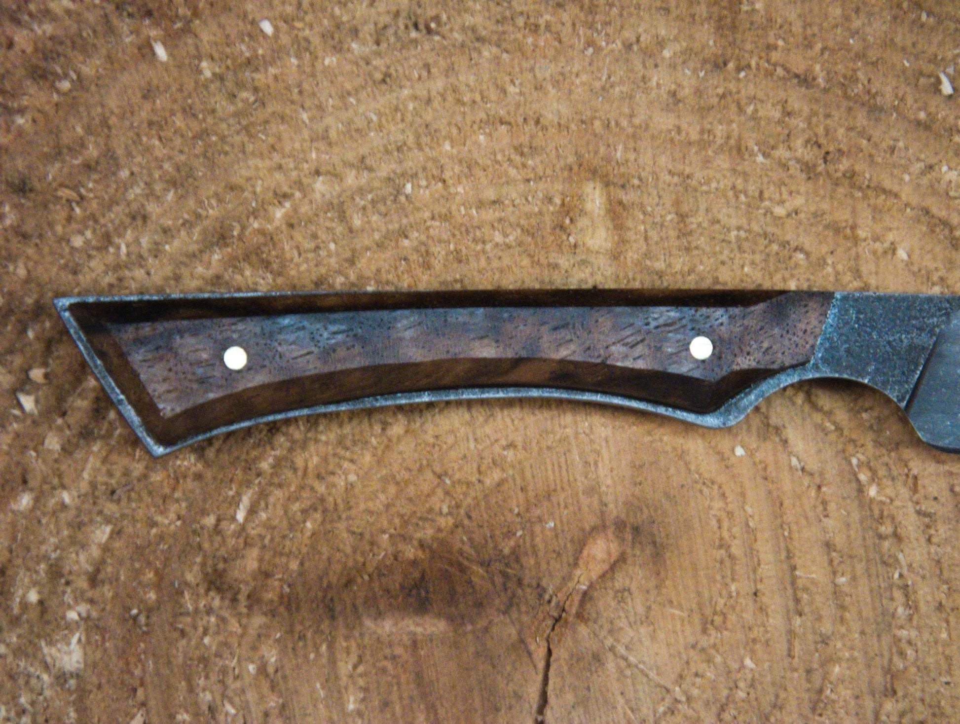 Full - tang paring knife with Walnut handle scales - The Iron Haggis - Kitchen Knife