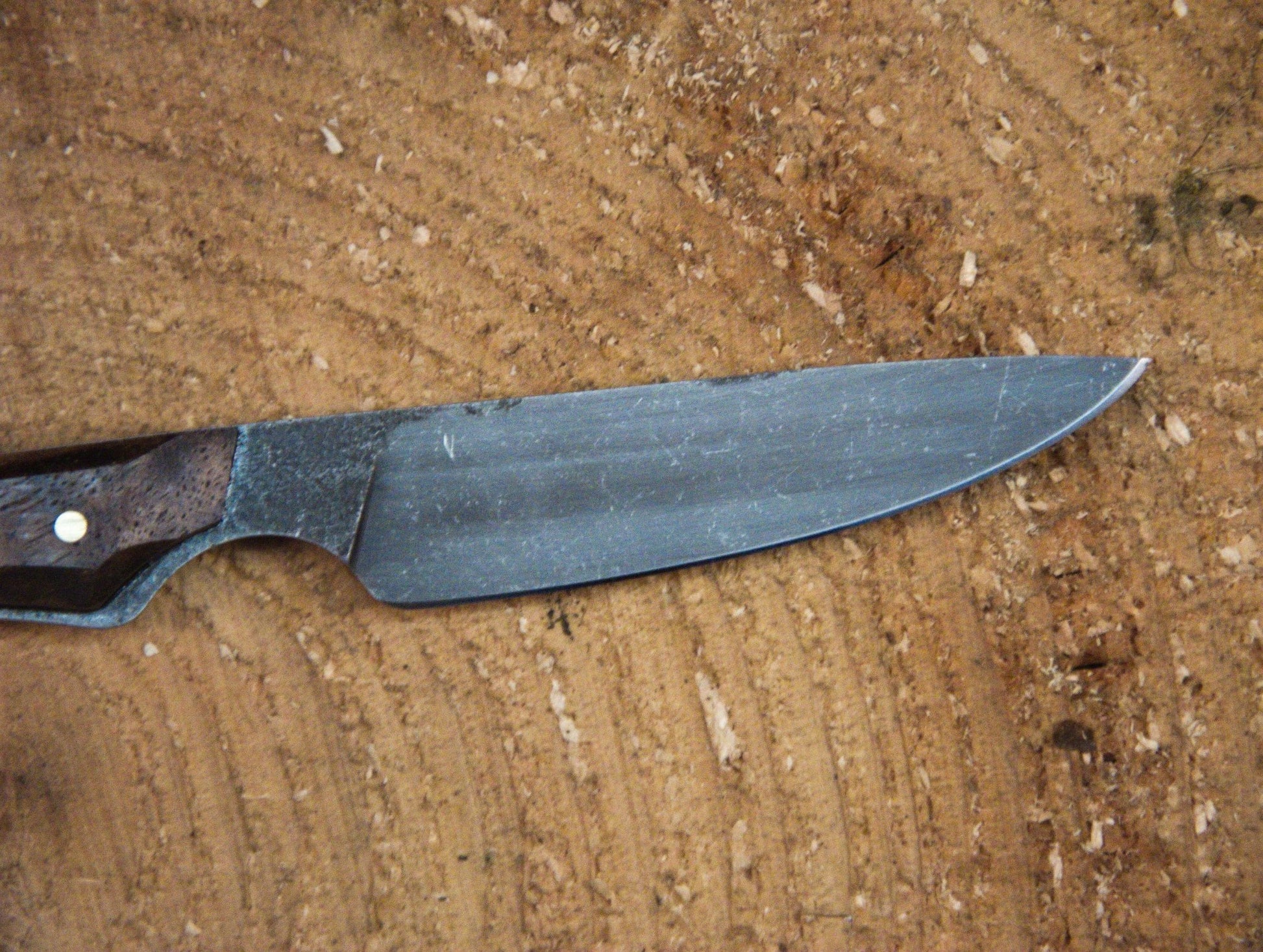 Full - tang paring knife with Walnut handle scales - The Iron Haggis - Kitchen Knife